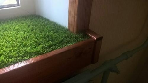 Подоконник с газоном, деревянное обрамление окна и экран на батарею из бамбука своими руками. 04