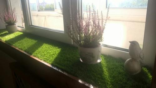 Подоконник с газоном, деревянное обрамление окна и экран на батарею из бамбука своими руками. 05
