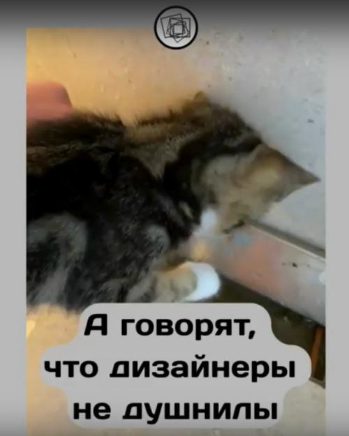 Простите, а неужели дизайнеры интерьера такие душнилы? 02