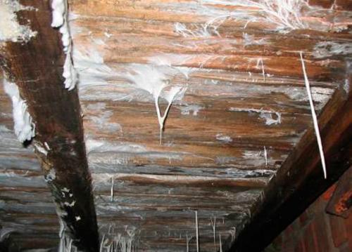 Подпол в доме своими руками. Правильное проветривание