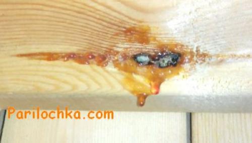 Как обшить вагонкой потолок в бане. Как правильно обшить парилку