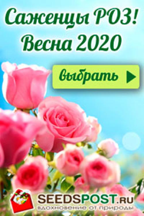 Проект дома на 5 сотках. Помогите распланировать участок в 5 соток