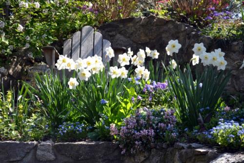 Что посадить осенью в саду. Цветы 12 Что посадить осенью в саду. Цветы 12