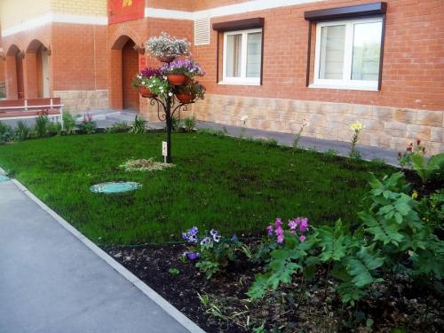 Озеленение двора частного дома. Озеленение двора: ландшафтный дизайн и правила эффектного украшения участка (95 фото)