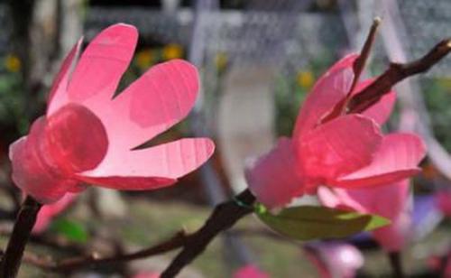 Цветы из пластиковых бутылок пошаговая инструкция. Как сделать цветы из пластиковых бутылок? 4 мастер-класса с фото