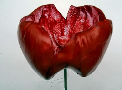 Большие цветы из пластиковых бутылок. 6 лучших способов делать цветы из пластиковых бутылок