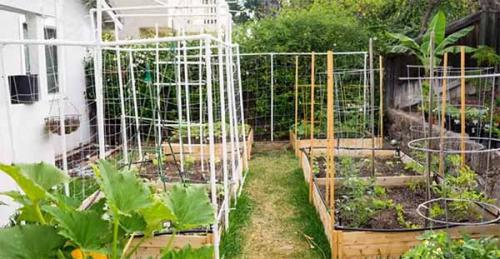 Высокие грядки. Как сделать высокие грядки своими руками.