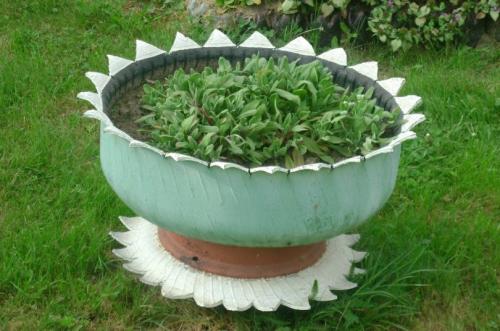 Цветы на клумбе названия. Красивые цветы для клумбы —, как выбрать и посадить своими руками? 115 фото лучших сочетаний для клумб