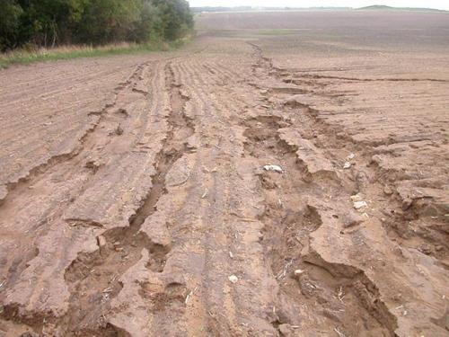 Дренажная система на участке. Для чего нужен дренаж участка