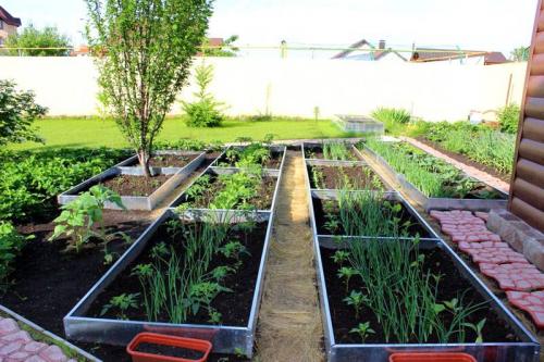 Грядки на даче. Как организовать грядки на даче
