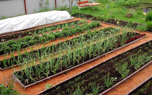 Грядки на даче. Как организовать грядки на даче