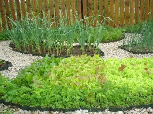 Грядки своими руками из профнастила. Модульный огород 02