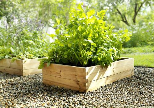 Грядки на даче. Как организовать грядки на даче