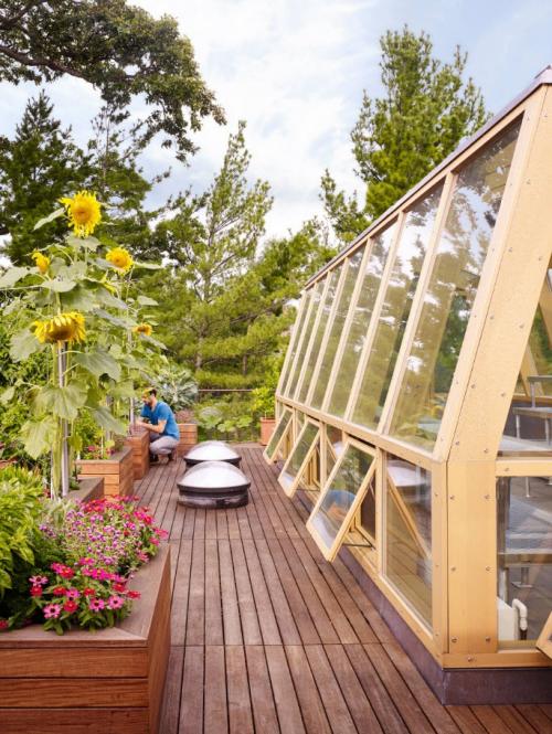 Как украсить теплицу из поликарбоната. Из чего сделана теплица? Что выбрать?