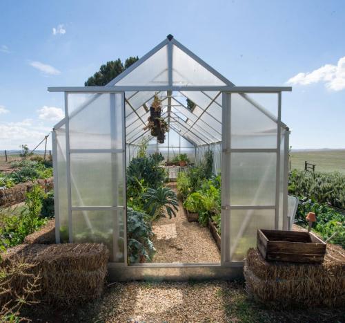 Как украсить теплицу из поликарбоната. Из чего сделана теплица? Что выбрать?