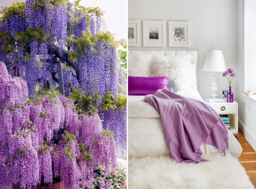 Лиловый с белым: 30 примеров сочетания 11