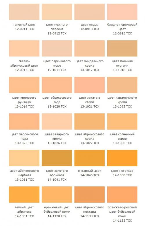 Какой цвет в интерьере подходит к бежевому. Бежевый цвет в интерьере: фото интересных решений