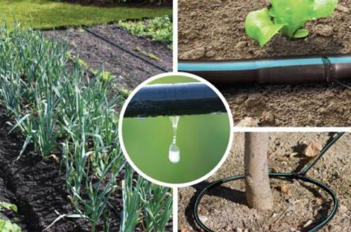 Системы полива огорода.  Капельная система полива