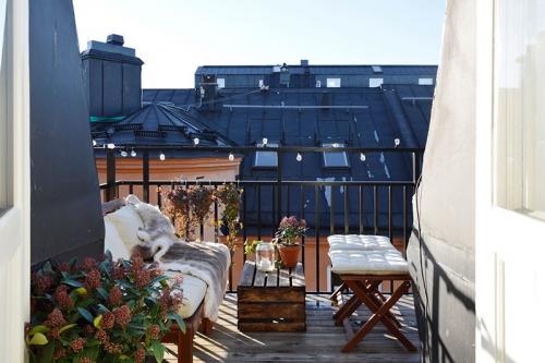 Скандинавская квартира с мягкими интерьерами 08