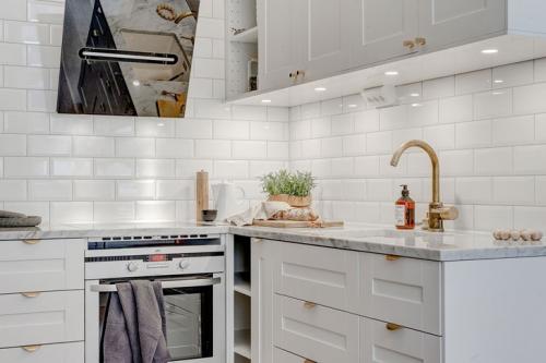 Шведское чудо 02