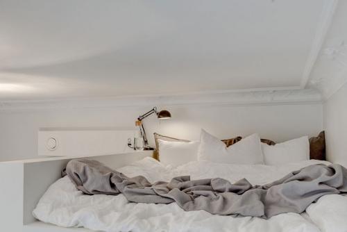 Шведское чудо 06