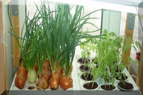 В чем можно сэкономить на ремонте. Как сэкономить на ремонте: маленькие хитрости 13