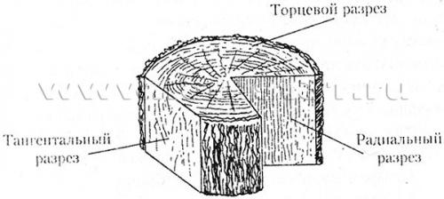 Из каких пород дерева делают мебель. Из какого дерева делают мебель? 05