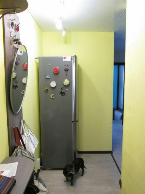 Как спрятать холодильник в комнате. Преимущества и недостатки встраиваемого холодильника 19 Как спрятать холодильник в комнате. Преимущества и недостатки встраиваемого холодильника 19