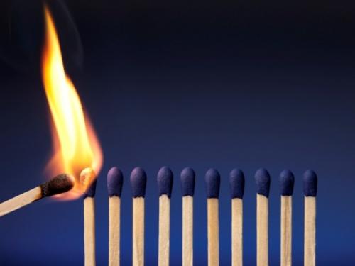 Из какого дерева делают спички