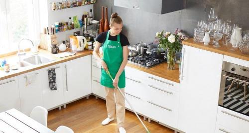 Самые лучшие средства для уборки дома. Лучшие средства для уборки унитазов