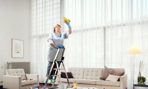 Самые лучшие средства для уборки дома. Лучшие средства для уборки унитазов