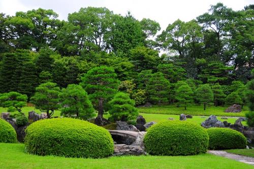 Японские декоративные растения. Японский сад на даче: выбираем растения с умом