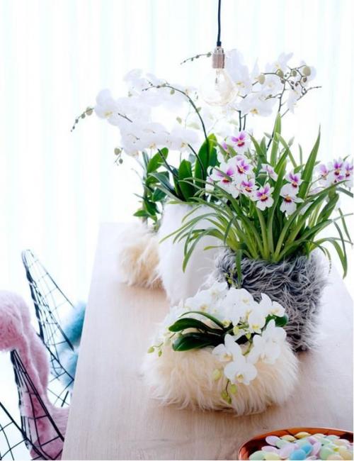 Орхидея в интерьере квартиры. Орхидеи в интерьере квартиры — фото и примеры