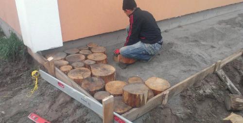 Спилы дерева в интерьере своими руками. Выбор дерева для украшения стены 05