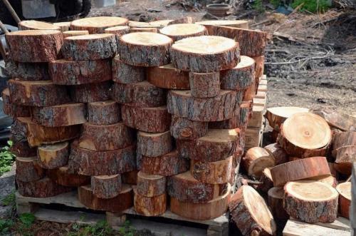 Как сделать деревянные спилы. Пошаговая инструкция, как сделать садовую дорожку из спилов дерева