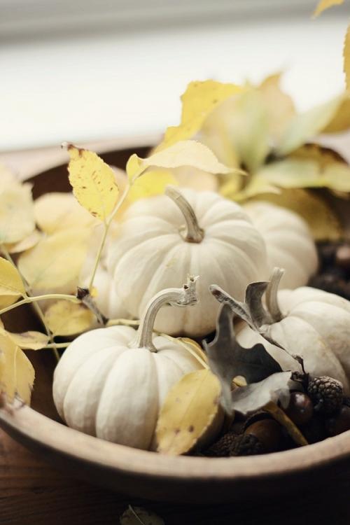 Как украсить комнату к осени. 7 красивых способов украсить дом осенними дарами природы