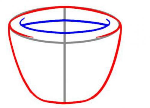 Как поэтапно нарисовать чашку карандашом поэтапно