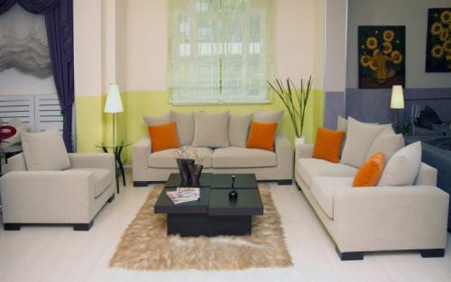 Цвет стен восточная сторона. Расположение гостиной при планировке по 5 стихиям