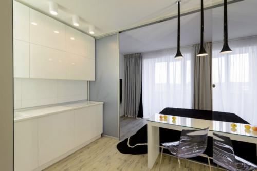 Спальня кухня гостиная в одной комнате. Кухня и спальня в одной комнате! 23