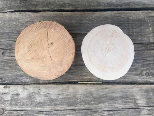 Спилы деревьев в интерьере. Стена из спилов дерева 27 Спилы деревьев в интерьере. Стена из спилов дерева 27