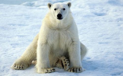 Полезные советы постельное белье. Как выбрать комплект постельного белья: полезные советы 06