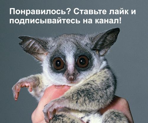 Меламиновая смола вред. Вредны ли меламиновые губки?