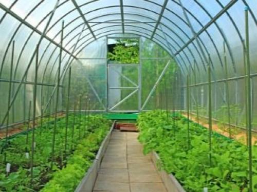 Как правильно установить теплицу. Сборка теплицы из поликарбоната 01