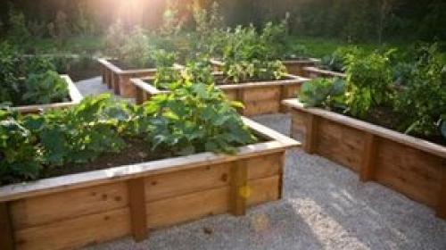 Как сделать грядки на даче правильно. Как сделать ленивые грядки — основные советы 15