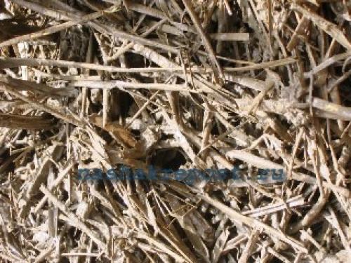 Строительство из глины. Строительство фундамента для дома из соломы и глины