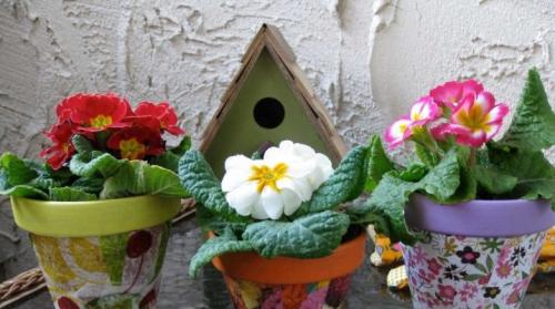 Декупаж цветочных горшков яичной скорлупой. Идеи и техники декупажа цветочных горшков своими руками