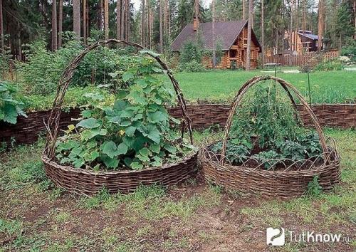 Ограждение для грядок из чего сделать. Заборчик из лозы для грядки своими руками