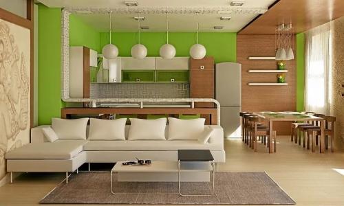 Комната в однокомнатной квартире.  Проект однокомнатной квартиры 14