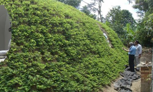 Как построить дом хоббита своими руками. “Домик хоббита” из современных материалов, который можно построить всего за три дня