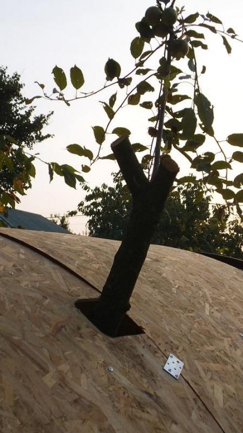 Детский домик хоббита.